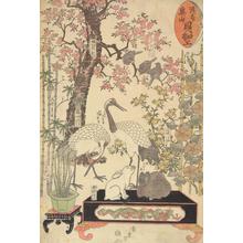 Utagawa Hiroshige: Cranes and Rabbits, from the series Shell Crafts at the Temple in Asakusa - University of Wisconsin-Madison