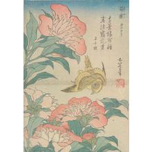 Katsushika Hokusai, 葛飾北斎 (Katsushika Hokusai)による浮世絵「Peonies and Canary, from a series of Bird anf Flower Subjects」