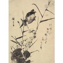 Utagawa Hiroshige: Kingfisher and Water Plants - University of Wisconsin-Madison