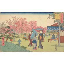 Utagawa Hiroshige: The Cherry Orchard in the Temple Precincts at Asakusa, from the series Famous Places in Edo - University of Wisconsin-Madison