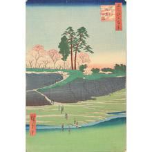 Utagawa Hiroshige: Goten Hill at Shinagawa, no. 28 from the series One-hundred Views of Famous Places in Edo - University of Wisconsin-Madison