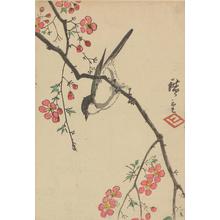 Utagawa Hiroshige: Bird on a Flowering Branch - University of Wisconsin-Madison