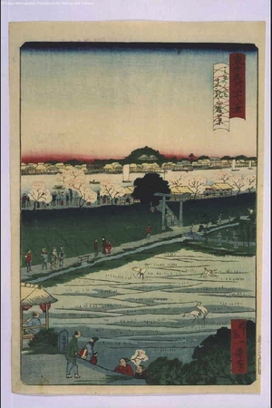 一景: Forty-Eight Famous Views of Tokyo: Mimeguri Shrine with Distant View of Matsuchiyama Hill - 江戸東京博物館