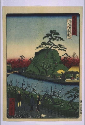 Ikkei: Forty-Eight Famous Views of Tokyo: Plum Blossom at Omuroi Park - Edo Tokyo Museum