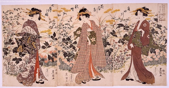 Utagawa Toyokuni I: Seven Flowers of Autumn at the Sumida River Garden - Edo Tokyo Museum