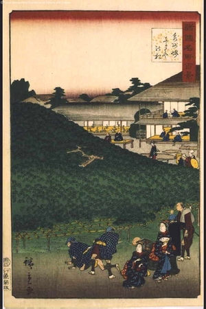 Utagawa Hiroshige II: One Hundred Views of Famous Places in the Provinces: Pine Tree at the Naniwaya Teahouse, Sakai, Senshu - Edo Tokyo Museum