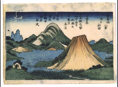 Utagawa Hiroshige: Eight Views of Ikaho: Irises by the Lake - Edo Tokyo Museum