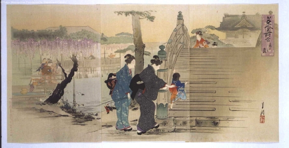 尾形月耕: Famous Views and Beautiful Women: The Wisteria in Kameido - 江戸東京博物館