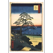 Utagawa Hiroshige: One Hundred Famous Views of Edo: The 'Armor-hanging' Pine on Hakkeizaka Slope - Edo Tokyo Museum