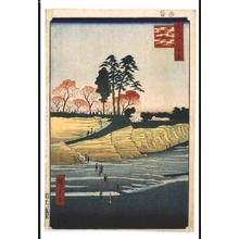 歌川広重: One Hundred Famous Views of Edo: Gotenyama Hill at Shinagawa - 江戸東京博物館