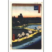 Utagawa Hiroshige, 歌川広重 (UTAGAWA Hiroshige)による浮世絵「One Hundred Famous Views of Edo: The Intertwined Catalpa Trees at Azuma Grove」