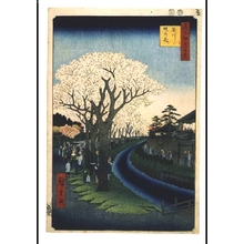 歌川広重: One Hundred Famous Views of Edo: Cherry Blossom on the Banks of the Tamagawa River - 江戸東京博物館