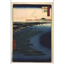 歌川広重: One Hundred Famous Views of Edo: Samezu Coast, Southern Shinagawa - 江戸東京博物館