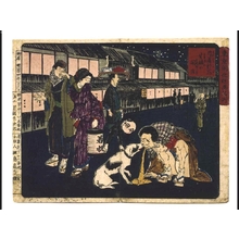 Tsukioka Yoshitoshi: Humorous Pictures of Famous Places in Modern Tokyo: Naito Shinjuku - Edo Tokyo Museum