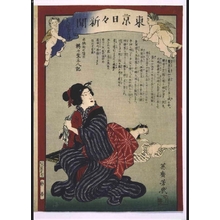 Ochiai Yoshiiku: Tokyo Nichinichi Shimbun Newspaper, No. 856 - Edo Tokyo Museum