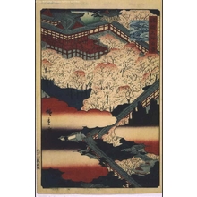 Utagawa Hiroshige II: One Hundred Views of Famous Places in the Provinces: Hasedera Temple, Yamato - Edo Tokyo Museum