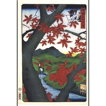 Utagawa Hiroshige II: One Hundred Views of Famous Places in the Provinces: Red Maples, Ushitaki, Senshu - Edo Tokyo Museum