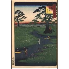 Utagawa Hiroshige II: One Hundred Views of Famous Places in the Provinces: Kikyo-no-hara, Shinshu - Edo Tokyo Museum