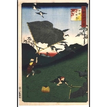 Utagawa Hiroshige II: One Hundred Views of Famous Places in the Provinces: Catching Ducks in Nets, Ogoshi, Iyo - Edo Tokyo Museum