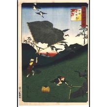 Utagawa Hiroshige II, 二歌川広重 (UTAGAWA Hiroshige II)による浮世絵「One Hundred Views of Famous Places in the Provinces: Catching Ducks in Nets, Ogoshi, Iyo」