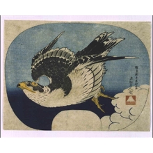 Katsushika Hokusai: A Hawk - Edo Tokyo Museum