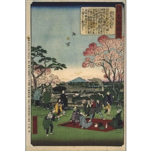Utagawa Hiroshige III: Famous Views of Tokyo: Cherry Blossom Viewing in Asukayama - Edo Tokyo Museum