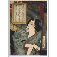 Toyohara Kunichika: Modern Models of Manners: Enjoying the Cool of the Evening - Edo Tokyo Museum