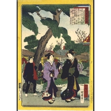 Utagawa Kuniaki: Famous Views of Modern Tokyo: In the Hana Yashiki Entertainment Garden in Asakusa - Edo Tokyo Museum