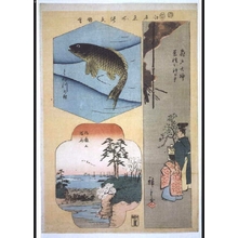 Utagawa Hiroshige: Famous Edo Sights: Blessing Medicinal Herbs at the Kameido Tenjin Shrine, a Carp in the Tone River, Goten Hill - Edo Tokyo Museum