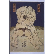 Utagawa Kunisada: Sumo: Musashigawa Wrestles Kashiwado - Edo Tokyo Museum