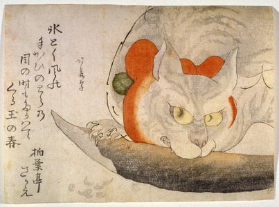 蹄斎北馬: A Cat with a Red Silk Ribbon Eating a Piece of Fish - Legion of Honor