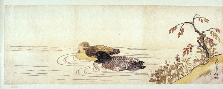 Katsuma Ryusui: [Two ducks swimming past flowers] - Legion of Honor