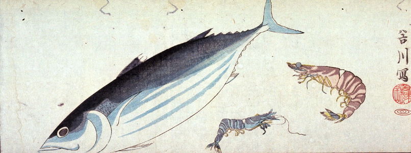 Unknown: [Bonito and two prawns] - Legion of Honor