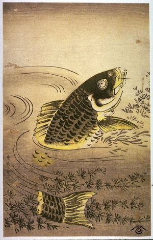 Unknown: [Swimming Carp] - Legion of Honor