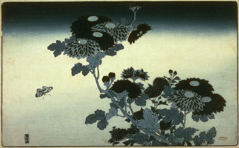 Unknown: [Chrysanthemums and butterfly] - Legion of Honor