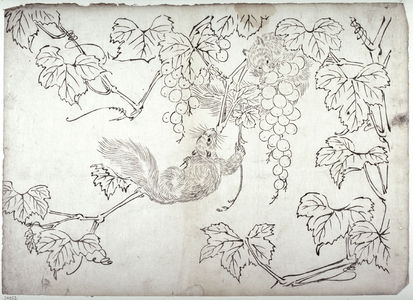 無款: Squirrels and Grapes - Legion of Honor