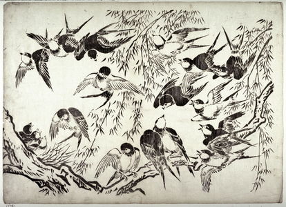 Unknown: Swallows in a Willow Tree - Legion of Honor