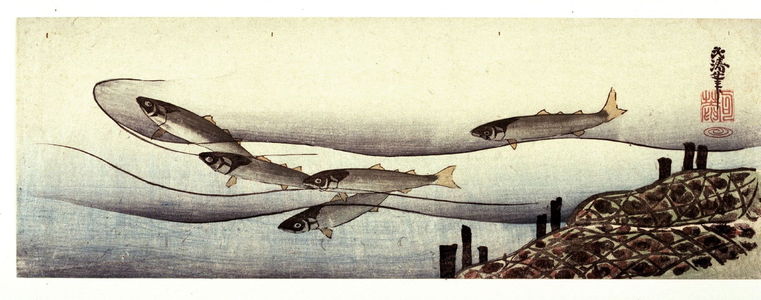 Japanese Print "Five trout in a stream" by Kita Busei, 喜多武清 (Kita Busei)