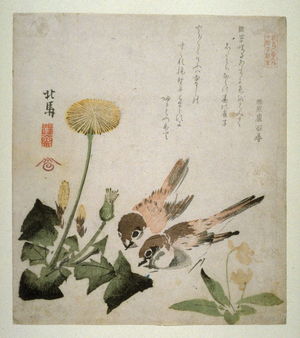 蹄斎北馬: Two Sparrows, Dandelion and Violets , from a series, Six Pictures of Birds and Flowers - Legion of Honor