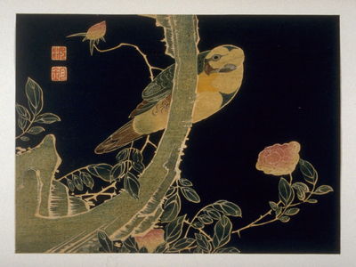 Unknown: Parrot and Rose - Legion of Honor