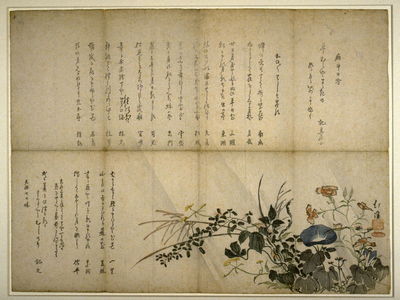 Totoya Hokkei: Late Summers Flowers in Rain - Legion of Honor