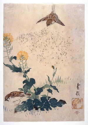 Kasai: Sparrows and Na Flowers - Legion of Honor