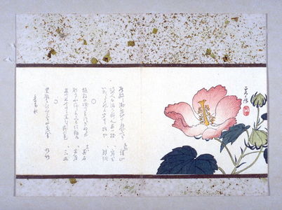 Matsukawa Hanzan: [Hibiscus flower] - Legion of Honor