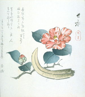 Chosui: [Camellia and boar tusk] - Legion of Honor