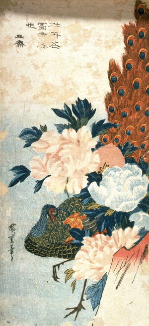 Utagawa Hiroshige: Untitled (Peacock and Peonies) - Legion of Honor