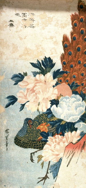 歌川広重: Untitled (Peacock and Peonies) - Legion of Honor