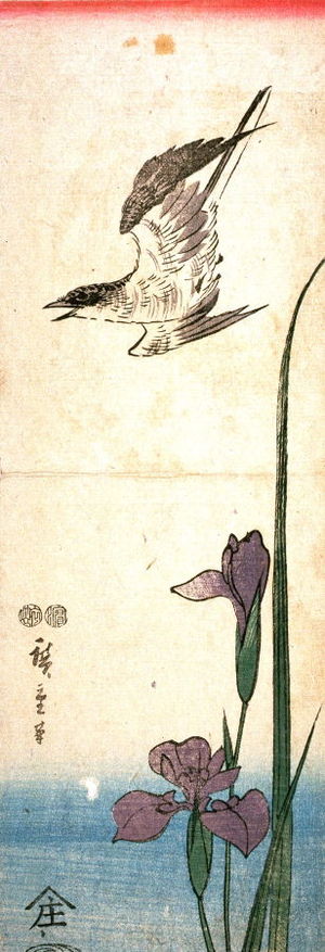 歌川広重: Untitled (Cuckoo and Iris) - Legion of Honor