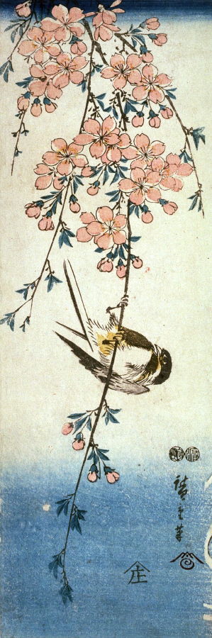 Utagawa Hiroshige: Untitled (Small Bird on Trailing Cherry Branch) - Legion of Honor