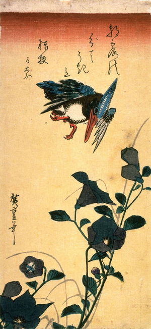 歌川広重: Untitled (Kingfisher and Bellflower (Kikyo)) - Legion of Honor