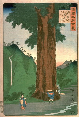 二歌川広重: Yatate Cryptomeria Tree in Kai Province (Koshu yatate sugi), from the series One Hundred Famous Places in the Provinces (Shokoku meisho hyakkei) - Legion of Honor